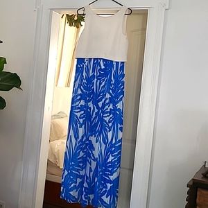 Donna Morgan Maxi dress.